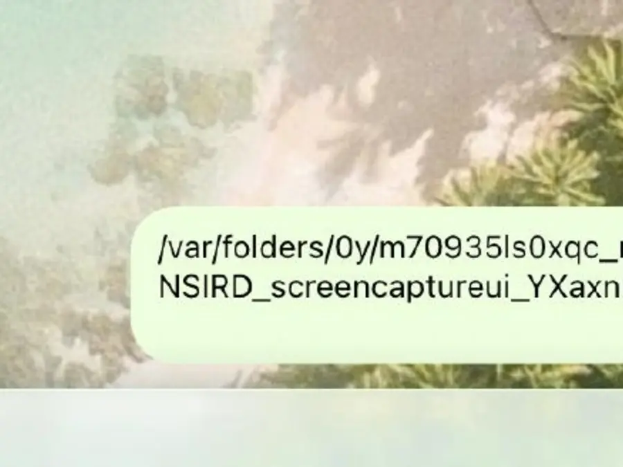 WIUT yaqinida yigitlar uchun 6 ta bo‘sh joy rasmi